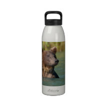 ours gris nageant bouteille d'eau réutilisable