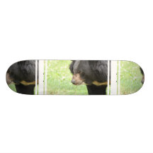 Ours noir mignon plateaux de skateboards