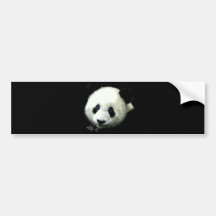 Ours panda adhésifs pour voiture