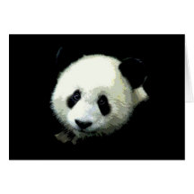 Ours panda cartes de vœux