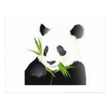 Ours panda cartes postales