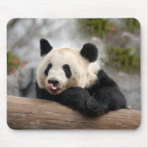Ours panda géant Mousepad Tapis De Souris