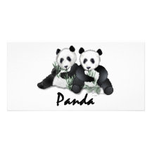 Ours panda géants photocarte