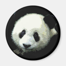 Ours panda magnets