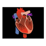 Ouvrez Hearted Carte Postale