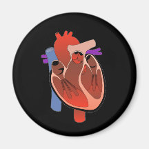 Ouvrez Hearted Magnets