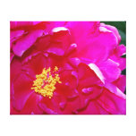 Ouvrez la pivoine rose foncée toile tendue sur châssis