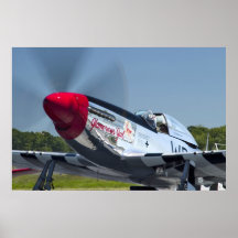 P51 POSTERS
