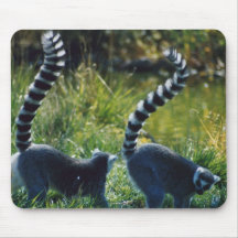 paires Anneau-coupées la queue de lémur - Mousepad Tapis De Souris