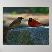 paires cardinales posters