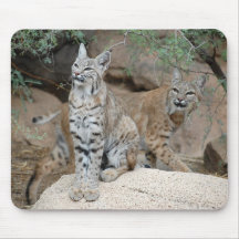 Paires de chats sauvages tapis de souris