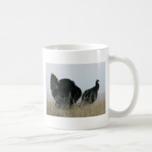 Paires de la Turquie Tasse À Café