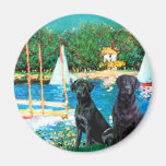 Paires de Labrador - voiliers Aimant