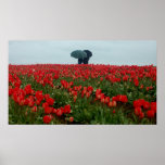 Paires de parapluie dans les tulipes poster