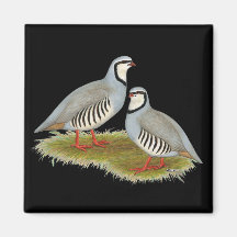 Paires de perdrix de Chukar Magnets Pour Réfrigérateur