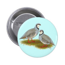 Paires de perdrix de Chukar Pin's