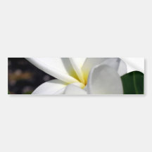 Paires de Plumeria Adhésifs Pour Voiture
