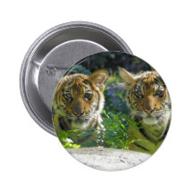 Paires de portrait de CUB de tigre Pin's Avec Agrafe