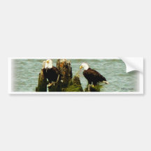 Paires d'Eagles Adhésifs Pour Voiture
