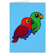 Paires d'Eclectus Cartes De Vœux
