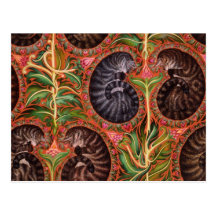 Paisles formel carte postale