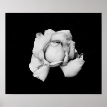 Paix classique posters