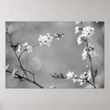PAIX POSTERS