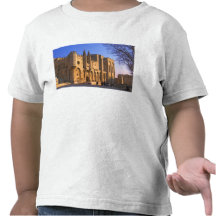 Palace du pape à Avignon avec des personnes T-shirt