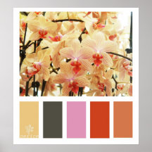 Palette de couleurs d'orchidées affiche