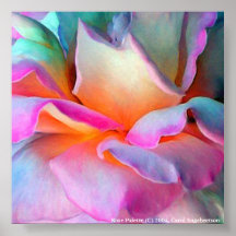 Palette rose affiche
