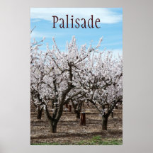 Palissade, affiche de voyage du Colorado