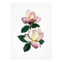 Pâlissez - la variété rose de boutons de rose imma invitation personnalisable