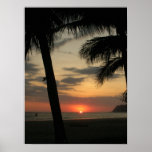Palm Beach Affiche
