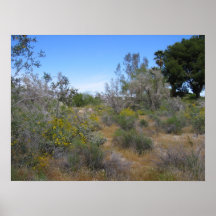 Palm Spring (27) Posters