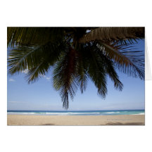 Palmier le long de mer des Caraïbes Cartes