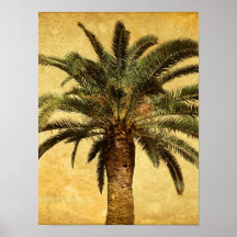 Palmier vintage - modèle customisé tropical posters