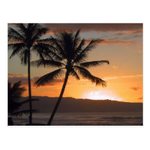 palmiers de scène de plage cartes postales
