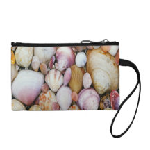 Palourde Shell Portefeuille