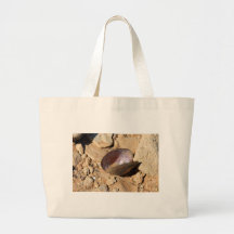 Palourde Shell Sac