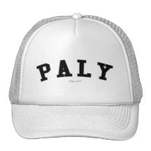 Paly Casquettes De Camionneur