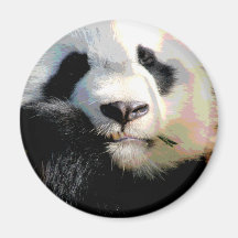 Panda affamé aimants pour réfrigérateur