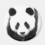 Panda Aimant Pour Réfrigérateur