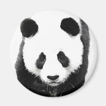 Panda Aimant Pour Réfrigérateur