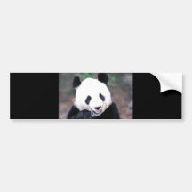 Panda Autocollant Pour Voiture