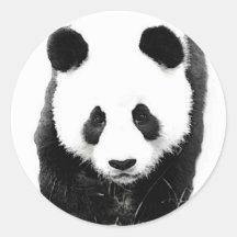 Panda Autocollants
