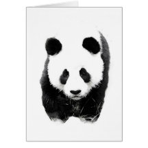 Panda Cartes De Vœux