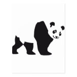 Panda Cartes Postales