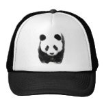 Panda Casquette