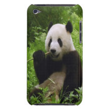 Panda Coques Barely There iPod