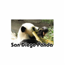 Panda de Panda_San Diego Photo En Relief